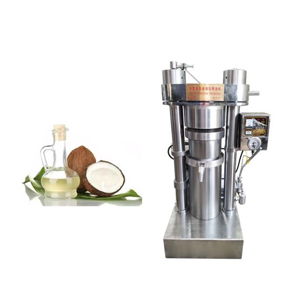 Buy Cold 4kg/Batch 1.1W 60Mpa Olive Oil Press Machine at wholesale prices
