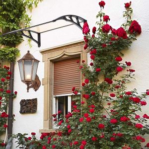 Clear Sun Shade 60x100cm Door Window Awning Canopy