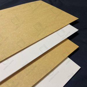 Quality China Paper PE Coated Cupstock Paper With High Sealability for sale