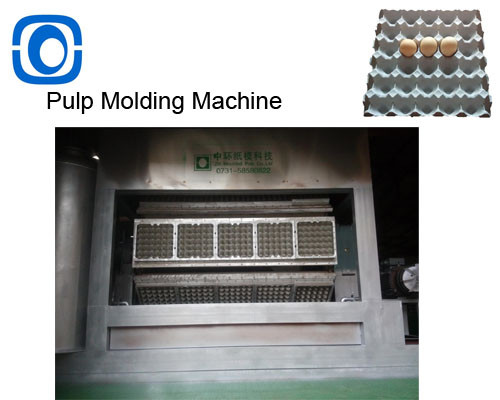 Buy CE Certified Egg Carton Making Machine 6 Cells  Tray Moulding at wholesale prices