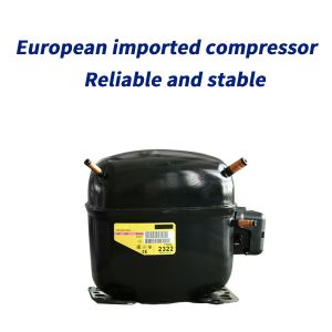 Food Freeze Dryer Machine Vacuum Equipment 60Hz Dry Fruit Lyophilizer