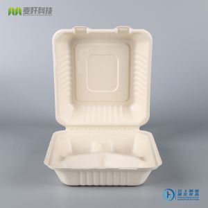 Eco-friendly Custom 3 Compartment Bagasse Disposable Bento Lunch Box