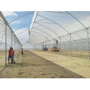 Large Sawtooth Greenhouse Shine Tech Poly Tunnel Tropical Greenhouse With