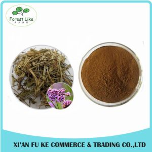 Competitive Price Natural Chinese Herb European Verbena Extract /Blue Vervain