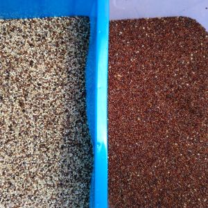 Sesame Pepper Color Sorting Machine With Ce Certificate