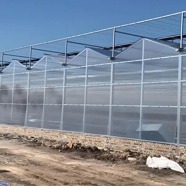 Elegant Venlo Glass Greenhouse for Rose Growing with High Light Transmission