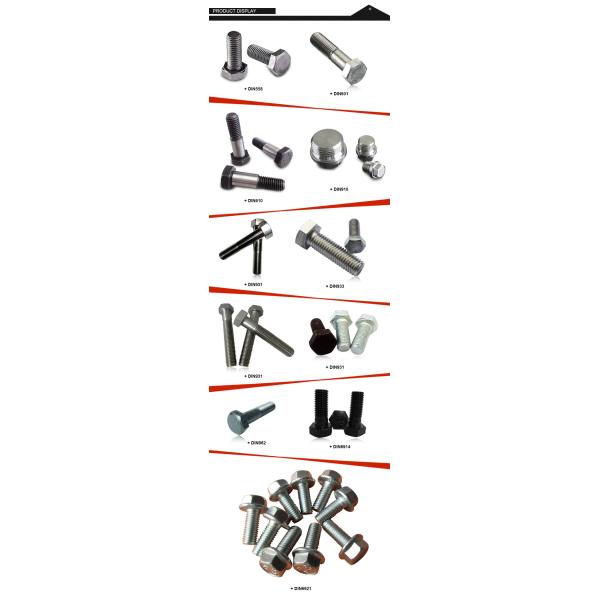 DIN603 Mushroom head square neck bolts carriage bolts stainless steel/zinc/black