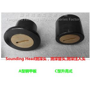 CB/T3778-99 A steel deck sounding injection head