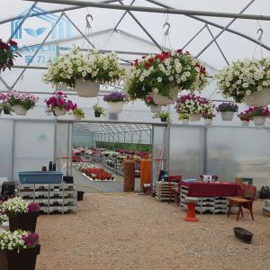 Large Commercial Tunnel Greenhouse Agricultural 150 Micron Covering Material