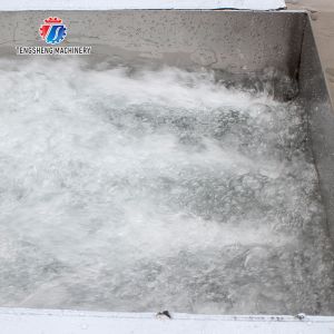 Sludge Stripping Kumquat Fruit Vegetable Washing Machine Water Pump Surfing