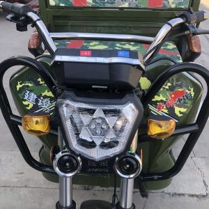 Electric Dump 1 Ton 800 Watt Adult Cargo Tricycle