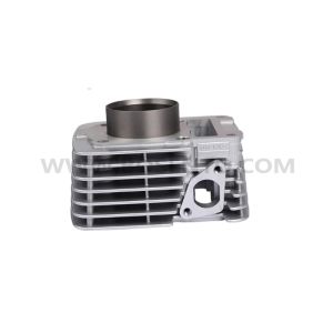 Original Motorcycle Engine Cylinder Block Kits for YBR125 5VL, YB125, JYM125