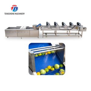 Customization Ozone Sterilization Fruit And Vegetable Processing Line Dry