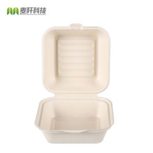 Quality Custom Take Away Food Container Sugarcane Bagasse Hamburger Box for sale