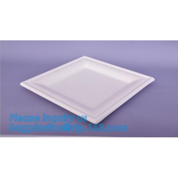 7 inch Pretty Food Grade Eco Biodegradable Tableware Disposable Corn Starch