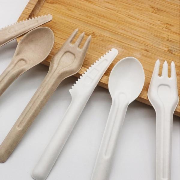 Buy Biodegradable Bagasse Eco Friendly Disposable Cutlery 141.7mm Compostable Forks And Spoons at wholesale prices