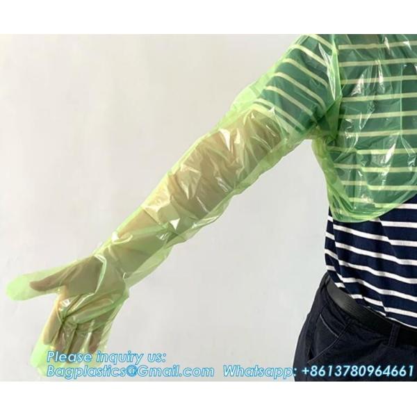 Extended Plastic Disposable Veterinary Long Sleeve Gloves Waterproof Disposable