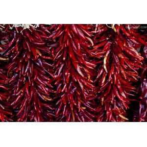 Delicious Tianjin Red Chilies Barbecue Dried Chile De Arbol Peppers