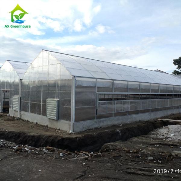 1.2g/Cm2 Anti Snow Greenhouse Polycarbonate Sheets 6mm Twin Wall Polycarbonate