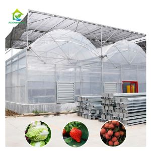 Durable Steel Tructure Vegetable Growing Poly Tunnel Agricultural Greenhouse