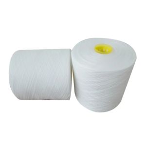 AA/AAA Grade 60/2 60/3 Raw White 100% Polyester Ring Spun Yarn Type of Sewing