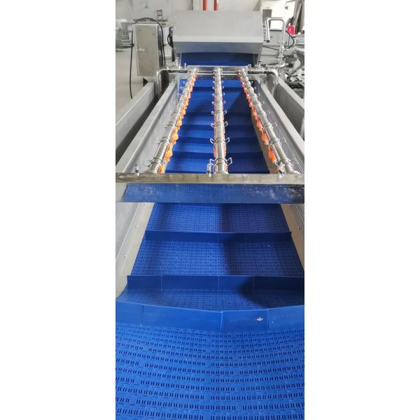 Stainless Steel Fruits And Vegetables Washing Machine For Commercial Catering