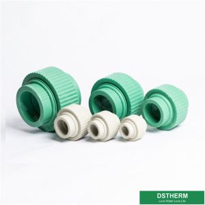 Injection Reducing Plastic Union Ppr Pipe Fittings
