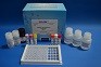 Drug Testing Ampicillin ELISA Test Kit High Repetitive Quantitative Analysis