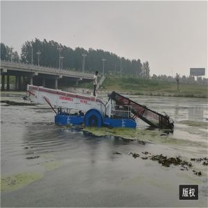 Aquatic Weed Harvester for river clean color customzied reed harvester