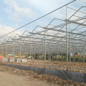 Commercial Polycarbonate Greenhouse for Versatile Vegetable Fruit and Flower