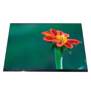 BOE GV101WXM-N81 10.1 Inch TFT LCD Module Normally Black Brightness 250 Nit EDP