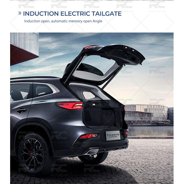 INDUCTION ELECTRIC TAILGATE nduction open, automatic memory open Angle
