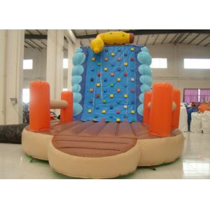 Indoor Caterpillar Inflatable Rock Climbing Wall Playground Fire Resistance
