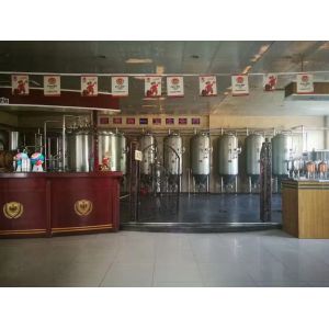 Pub Microbrewery Beer Fermentation Equipment Ss Conical Fermenter 220V / 380V