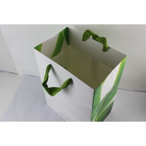 Gloss Lamination Clothing Paper Bags