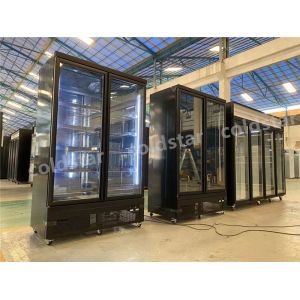 -22C Commercial upright dynamic cooling double 2 glass door freezer showcase ice