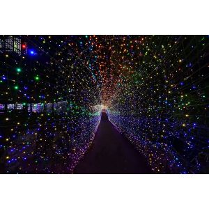 Multi Colors Extendable LED Multicolor Christmas Lights String 400 LED 120V