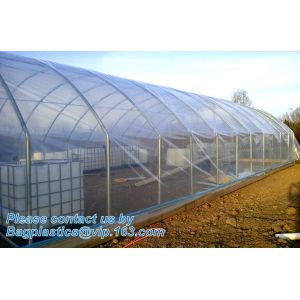 Agricultural PE Film, Agriculture Polyethylene, Film, mulch films, horticultural