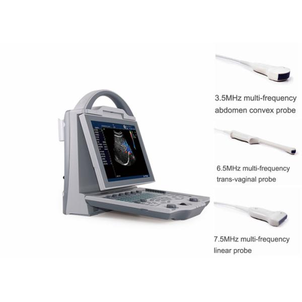 Buy Portable Pregnancy Ultrasound Scanner with Abdominal Convex Transvaginal Transducers at wholesale prices