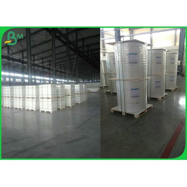 168g Printable Stone Paper For Disposable Packaging Box Waterproof 700 X 1000mm 168g Printable Stone Paper For Disposable Packaging Box Waterproof 700 X 1000mm