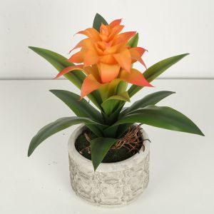 Guzmania Flexible Glue Fake Bonsai Tree 28cm High Simulation Multicolour
