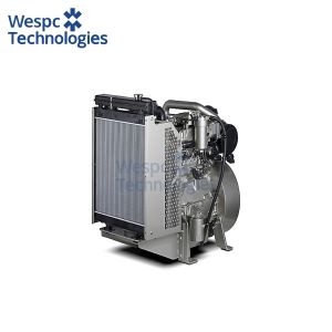 WESPC Perkins Diesel Generator With Engine 1103A-33G Electric Generator