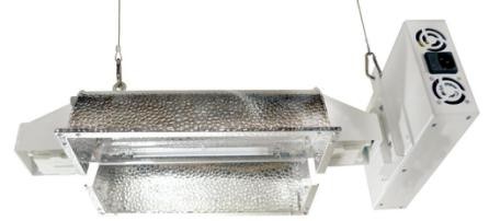 Buy Lighting Fixture1000w /600w  Plant lighting Low Price High Quality at wholesale prices