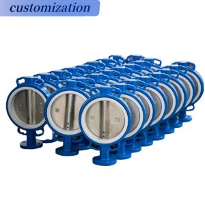 Depends on Specifications Double Flanged Lug Type Butterfly Valves and Fitting