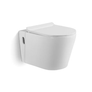 China Ceramic Wall Hung Rimless Toilet with Concealed Cistern on sale
