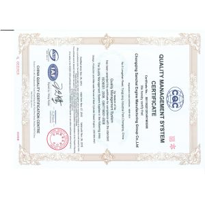 Chongqing SAC Power Group Co.,Ltd. Certifications