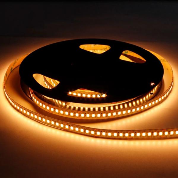 DC12V/24V 10mm 240led 2835 SMD LED Strips Cuttable Flexible Light Strip with Dimmer