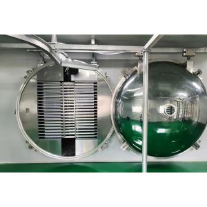 Large Food Vacuum Lyophilizer Freeze Dryer 100kg/Batch