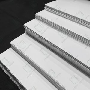 China Reliable FBB Rolls For High-Volume Printing And Packaging Production High Bulk Ivory Board on sale