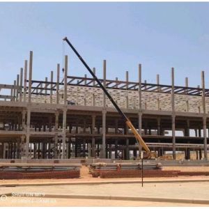 OEM Pharmaceutical Logistics Prefabricated Metal Buildings H Section Frame